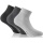 Rohner Daily Sock Sneaker Basic Plus light grey/grey/dark grey - 3 pairs